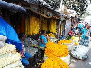 Kolkata • Flower market ( India, West Bengal )