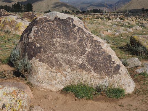 Bishkek • Pétroglyphes ( Kirghizistan,  )