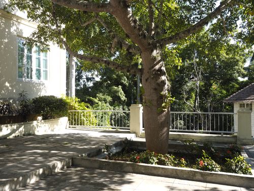 Bay of Pigs • Ernest Hemingway House  ( Cuba,  )