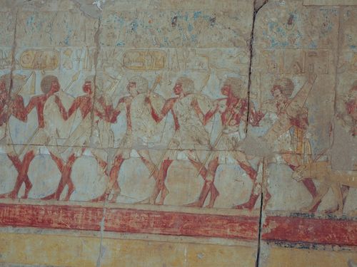 Louxor • Temple d'Hatchepsout ( Egypte,  )