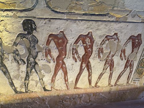 Luxor • Graf van Ramses IX ( Egypte,  )