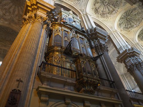 Malaga • de Kathedraal ( Spanje, Andalusië )