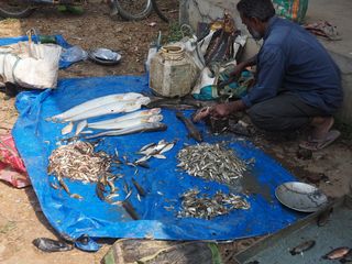 India • Maloibari market ( India, Assam )