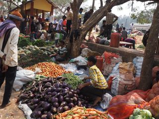 India • Maloibari market ( India, Assam )