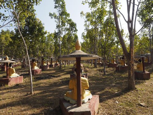 Monywa • Maha Bodhi Ta Htaung ( Myanmar,  )