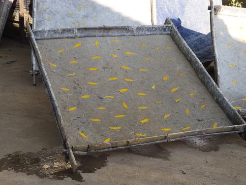 Pindaya • Paper Crafting Workshop ( Myanmar,  )