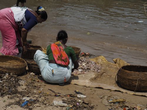 Mumbai • Shrimp Sorting on the beach ( India, Maharashtra )