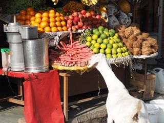 Nalagarh • Boutiques et marchés de quartier ( Inde, Himachal Pradesh )