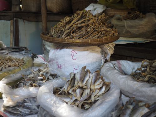Nyaung U • Mani Sithu-markt ( Myanmar,  )