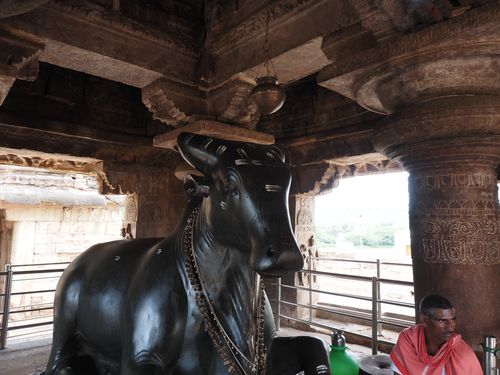 Pattadakal • Virupaksha Temple: Nandi ( India, Karnataka )