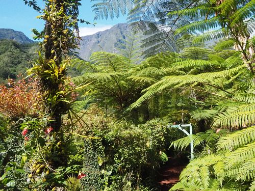 Ile de la Réunion • Maison Folio ( Réunion,  )