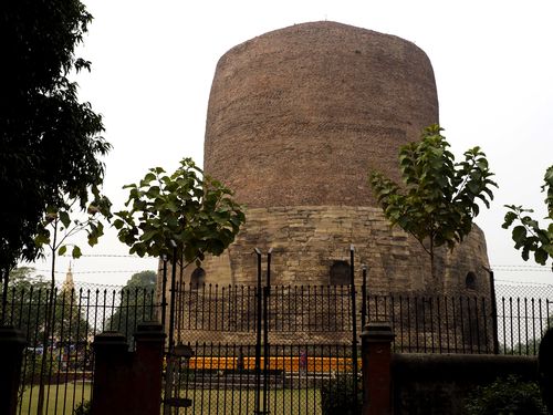 Sarnath • Stupa Dhamek ( Inde, Uttar Pradesh )