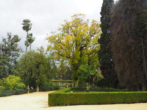 Sevilla • Real Alcazar ( Spanje, Andalusië )