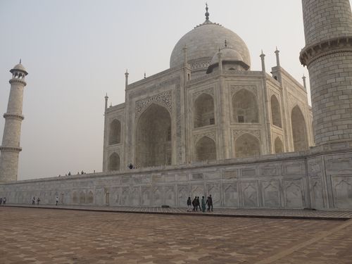 Agra • Taj Mahal: le mausolée vu de l'esplanade ( Inde, Uttar Pradesh )