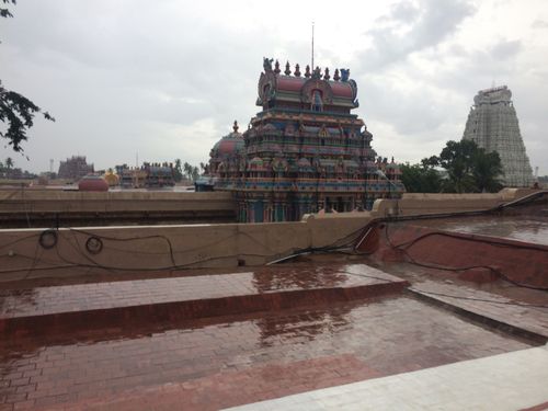 Tiruchirappalli • Temple de Srirangam ( Inde, Tamil Nadu )