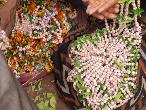 Varanasi • Flower market ( India, Uttar Pradesh )