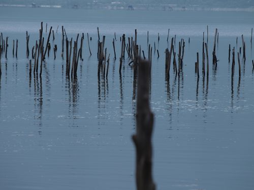 Da Nang • Lap An Bay ( Vietnam,  )