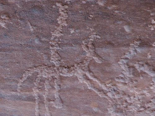 Wadi Rum • Petroglyphs ( Jordan,  )