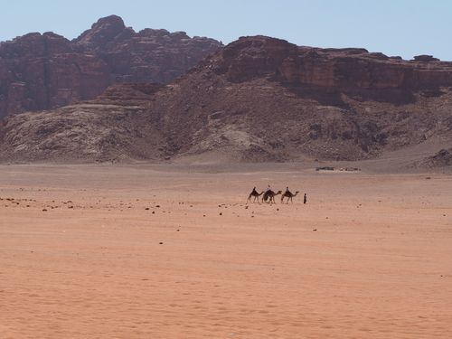 Wadi Rum • Wadi Rum desert ( Jordan,  )