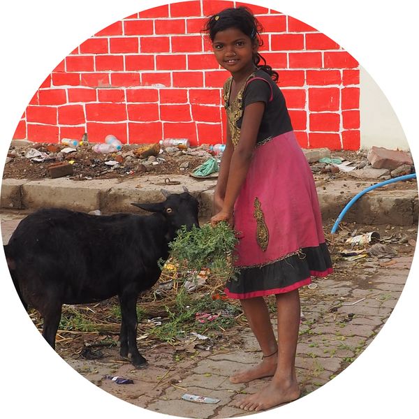 Bakraur dorp, Bodhgaya, Bihar • India