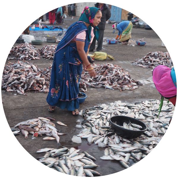 de vismarkt, Diu, Gujarat • India