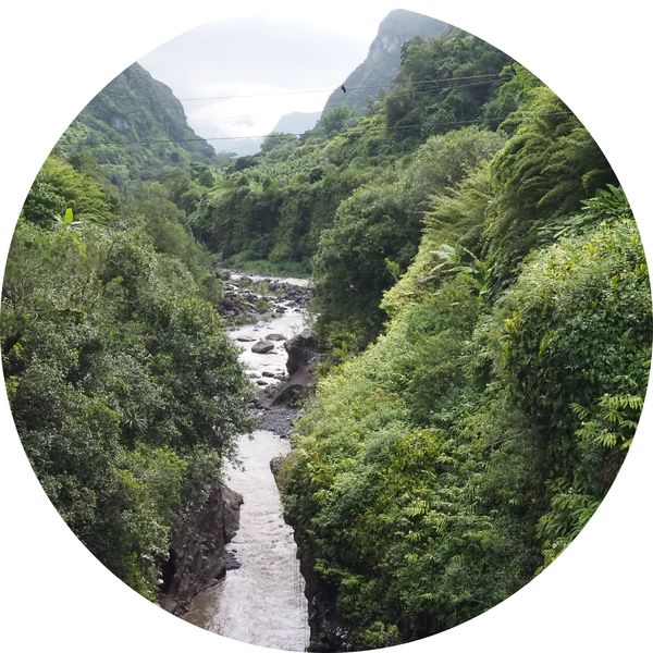 Vallée encaissée, Saint Pierre • Ile de la Réunion