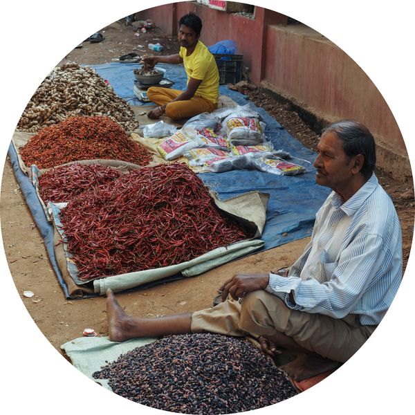 farmers sell their chillies, Maloibari Pathar, Assam • India
