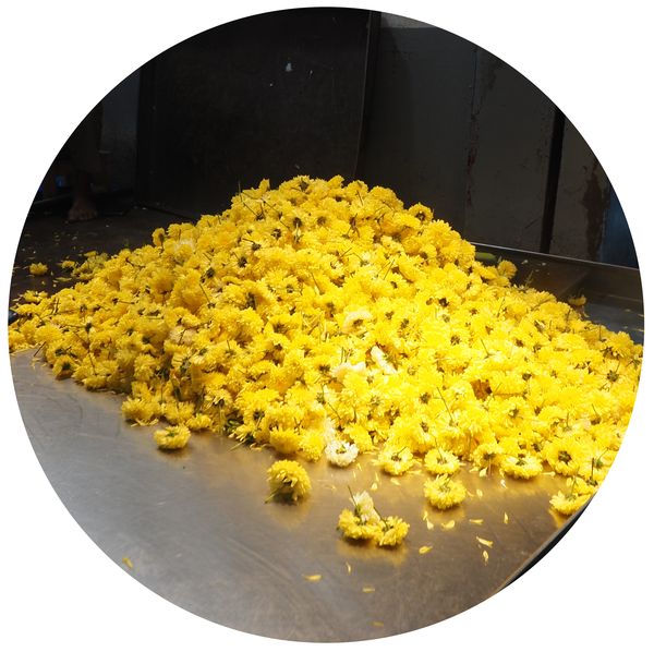 flowers on the market, Mysore, Karnataka • India
