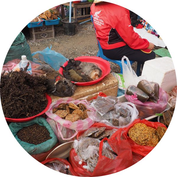 een kraampje op de markt, Phonsavan • Laos