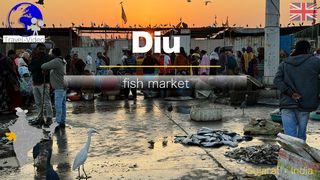 Diu • Lively fish market on India’s Arabian Sea coast
