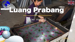 Luang Prabang, paper making workshop • Laos